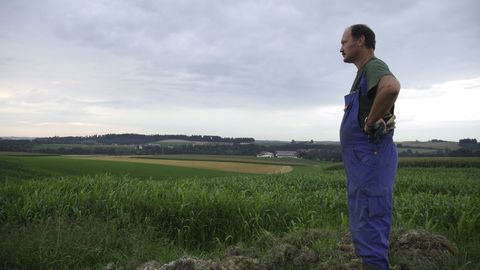 Nature against the Autobahn, Bild 10